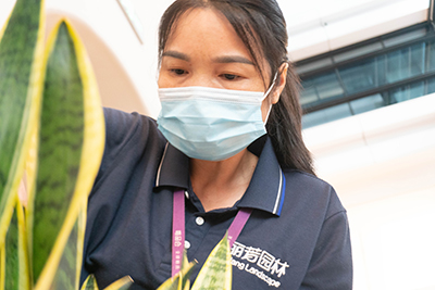 VSport-胜利园林人物 | 唯品会最具匠心养花师王燕