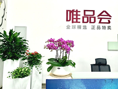 VSport-胜利园林办公室绿植摆放讲究、风水,你有必要知道!