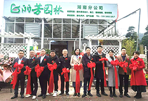 VSport-胜利园林湖南分公司盛大开业，征战华中市场